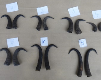 chamois, antler, chamois, crucible, chamois, antler, crafts, decoration