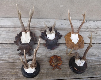 6 carved wooden signs with deer antlers