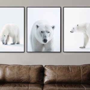Polar Bear Photography Print Set: Arctic Wildlife Home Decor (Digital Download)