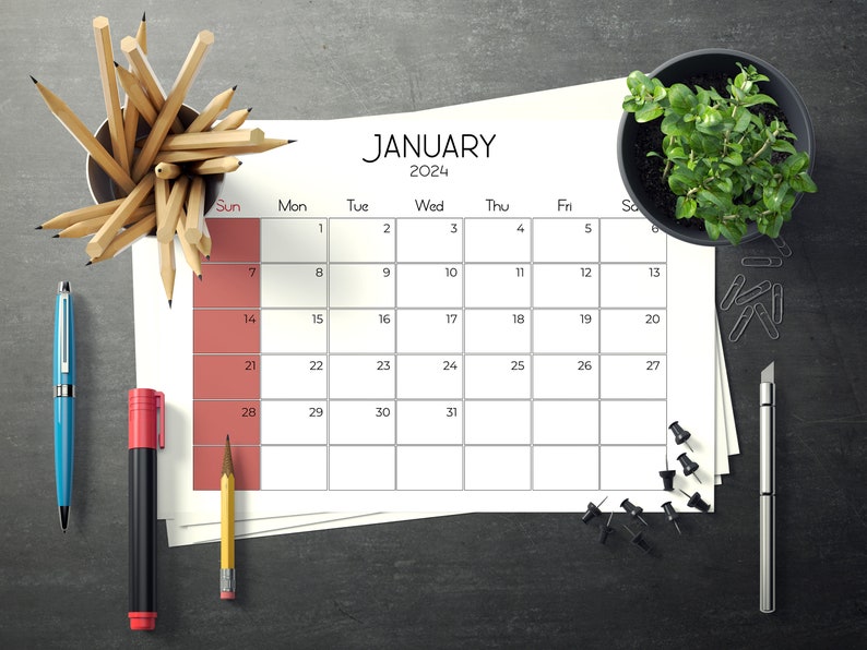 Cute 2024 Calendar Printable, Month at a Glance Planner, Appointment
