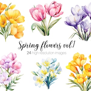 Frühlingsblumen Clipart, Aquarell Blumen Illustration, Tulpe, Hyazinthe, Freesie, Krokus, Botanische Aquarellkunst, Frühlingsblumenmuster