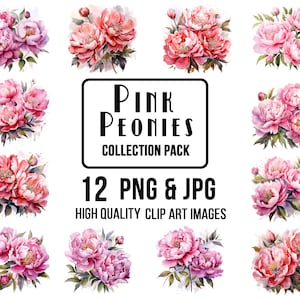 Clipart de pivoines roses, fichiers PNG et JPG à usage commercial, illustrations florales, pivoines roses pour la conception de mariage, clipart de carte de voeux