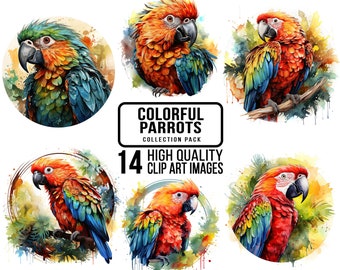 Watercolor Parrot Clipart: Tropical Bird Illustrations (Digital Download)