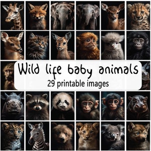Animales bebés de vida salvaje, Conjunto de carteles de animales, Arte de pared de vida salvaje, Imágenes de animales, Reino animal, Descarga digital, Impresiones de vivero Safari