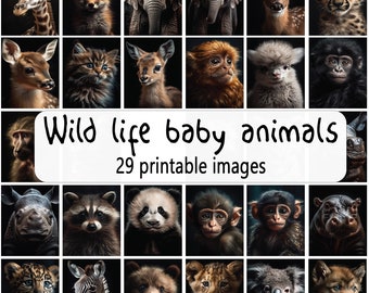 Baby Animal Prints: Wildlife Nursery Art, Set of 29 (Digital Download)