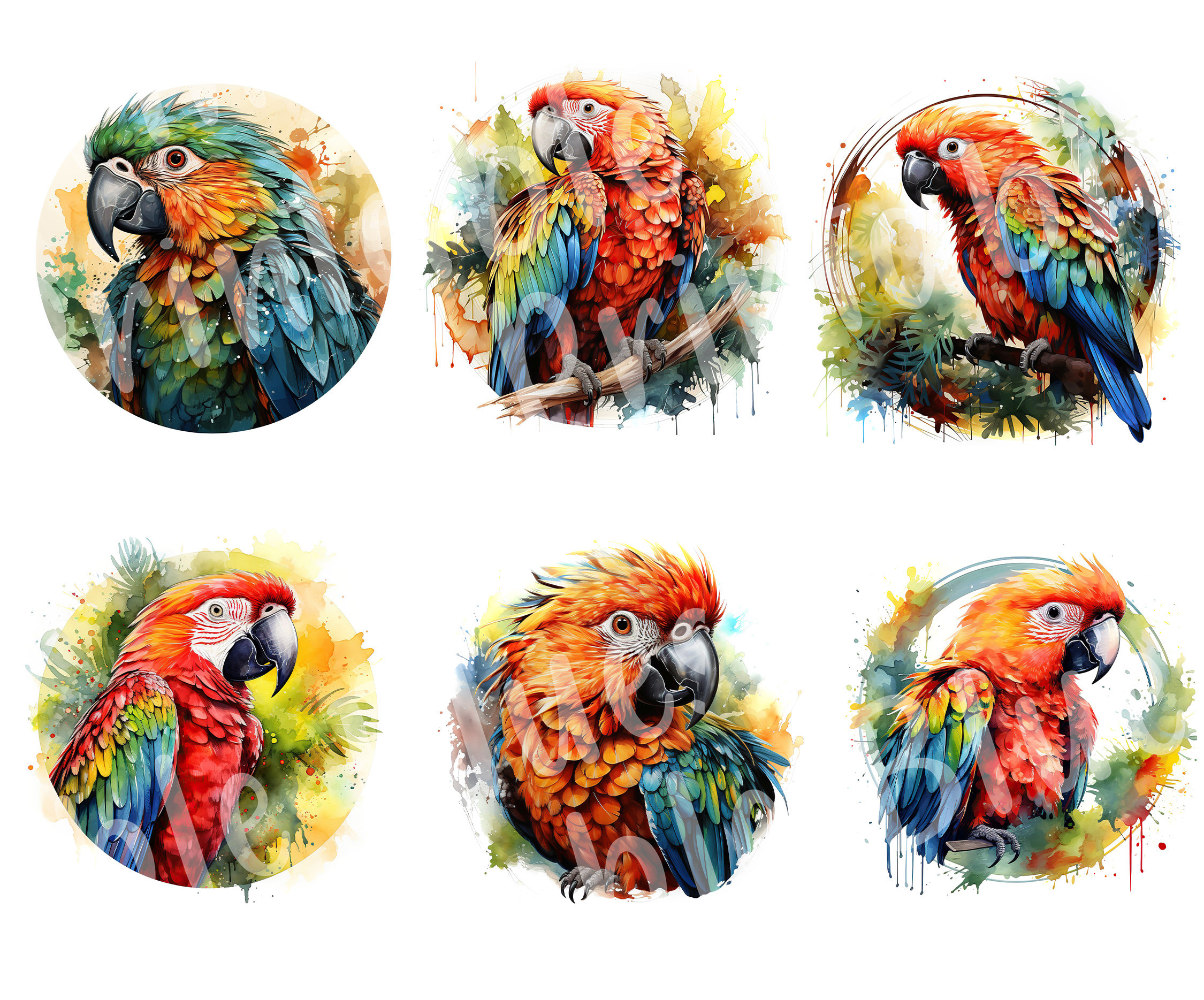 Watercolor Parrot Clipart, Tropical Bird Illustrations, Exotic Parrot ...