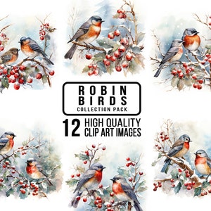 Clipart de tordo de Natal, Clipart de Natal em aquarela, Ilustração de feriado festivo, Artesanato de Natal, Diário de lixo, Uso comercial