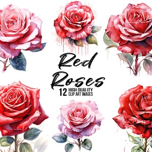 Red roses clipart collection, Watercolor rose illustrations, Romantic flower graphics, Valentine&#39;s day clipart, Cute rose design, Commercial