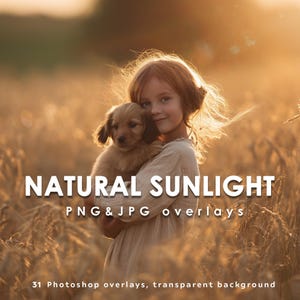 May include: A girl with auburn hair holds a golden puppy in a sunlit wheat field. The image is bathed in warm, natural light, with the text "NATURAL SUNLIGHT PNG & JPG overlays" and "31 Photoshop overlays, transparent background" overlaid on the image.