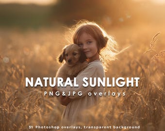 May include: A girl with auburn hair holds a golden puppy in a sunlit wheat field. The image is bathed in warm, natural light, with the text "NATURAL SUNLIGHT PNG & JPG overlays" and "31 Photoshop overlays, transparent background" overlaid on the image.