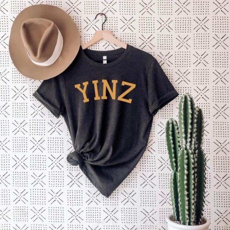 May include: Dark grey t-shirt with the word "YINZ" in gold lettering. A brown hat with a white band hangs to the left. A cactus in a white pot is on the right. The shirt is hanging on a wooden hanger.