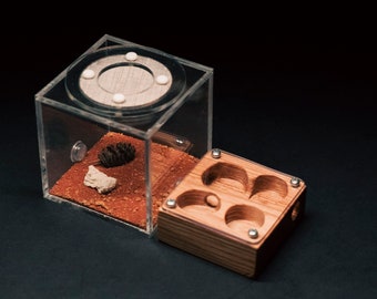 Foranto Mini-Ameisenpfleger-Set Formicarium Outwelt Ameisennest Farm