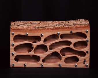 Medium Ash Wood Ant Nest