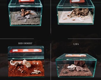 Set di decorazioni Foranto Arena - Medio. Kit Outworld Biotop per Formicarium e altri insetti. Kit accessori per terrario