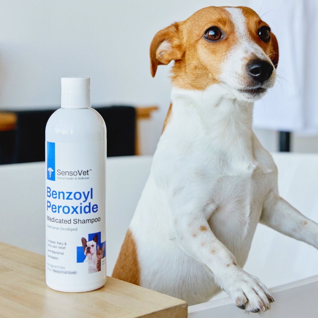 Sensovet Benzoyl Peroxide Medicated Shampoo for Cats & Dogs Etsy