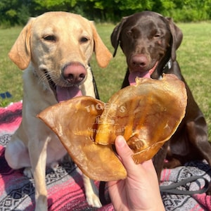 Pig Ear Dog Treats, Jumbo Size Natural Single Ingredient Treats