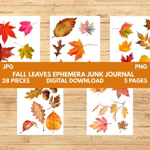 Autumn Leaves Ephemera Digital Bundle for Thanksgiving Junk Journal