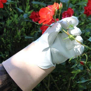 Real leather: Special, reinforced rose gloves, gardening gloves, work gloves, thorn gloves - own production in Germany!
