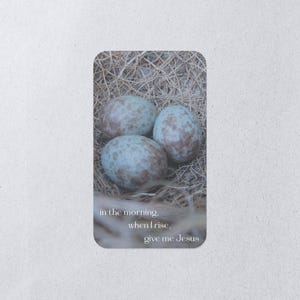 Bird Eggs / Mini Poster / Bookmark / Little Note / Mini Message