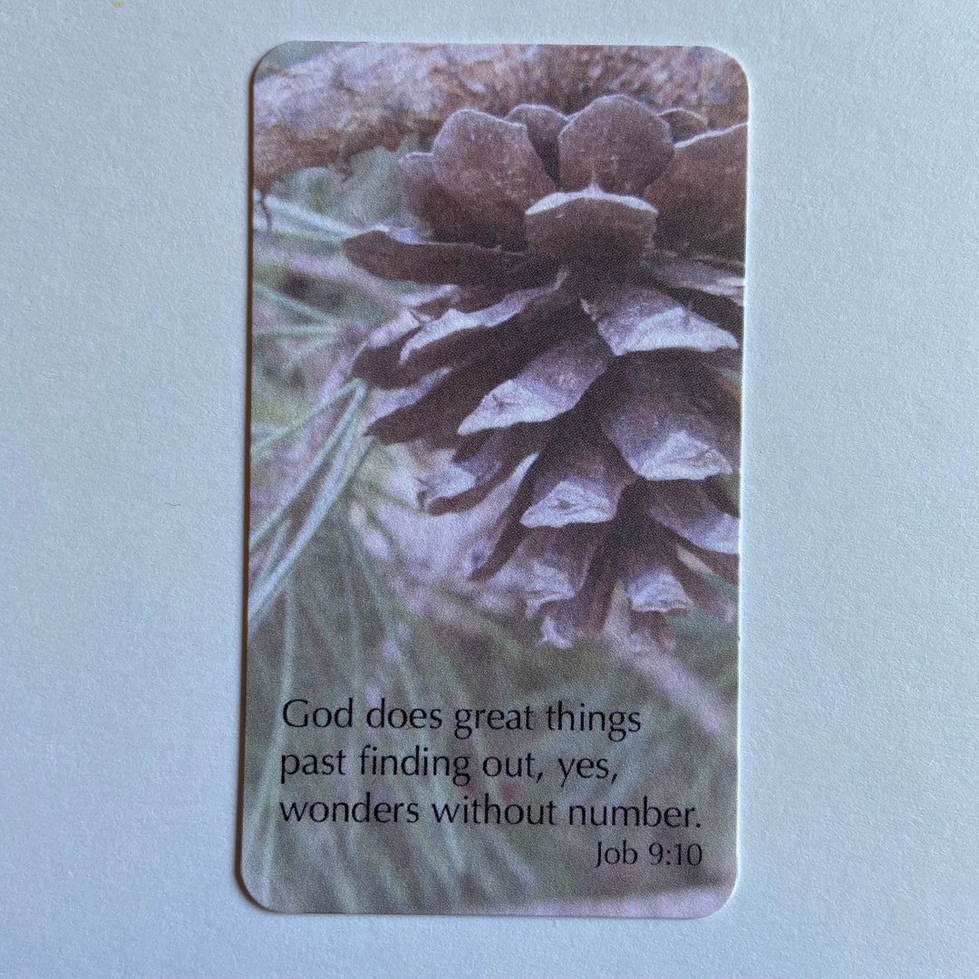 Mini Poster / Bookmark / Little Note - Forest Branch With Pinecone With ...