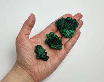 May include: Three pieces of raw, dark green malachite mineral are displayed in a hand against a white background. The malachite has a textured, crystalline appearance, with varying sizes and shapes. The mineral's rich green color is prominent.