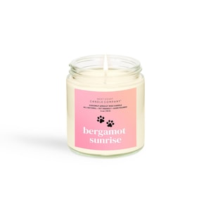 Bergamot Sunrise | Pet Safe Candle | Coconut Apricot Wax | Soy Free | Non-Toxic Candle | Pet Odor Eliminator | Veterinarian Approved | 4 oz