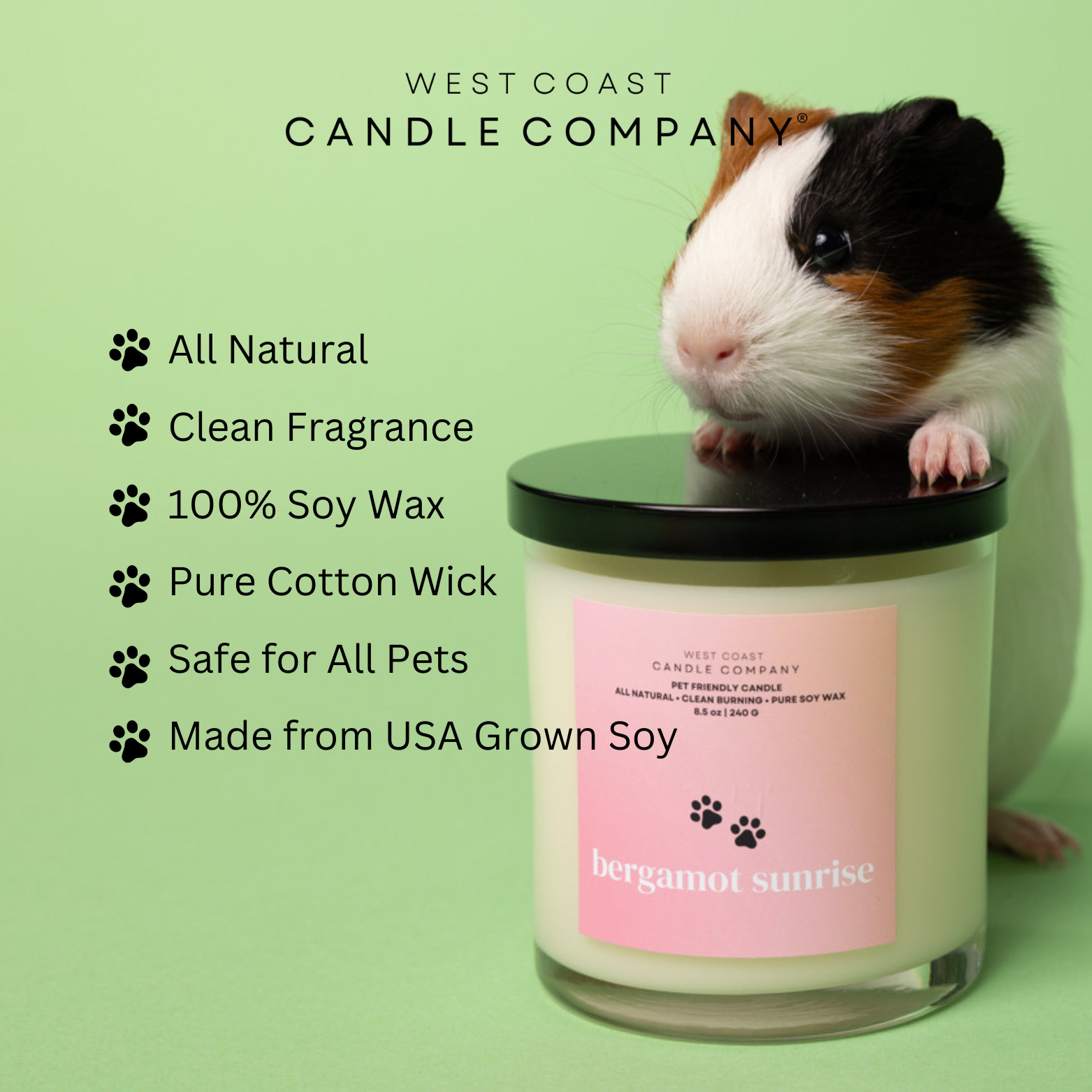 Stressfree Pet Friendly Candle Pet Safe Candle Clean Burning Candle
