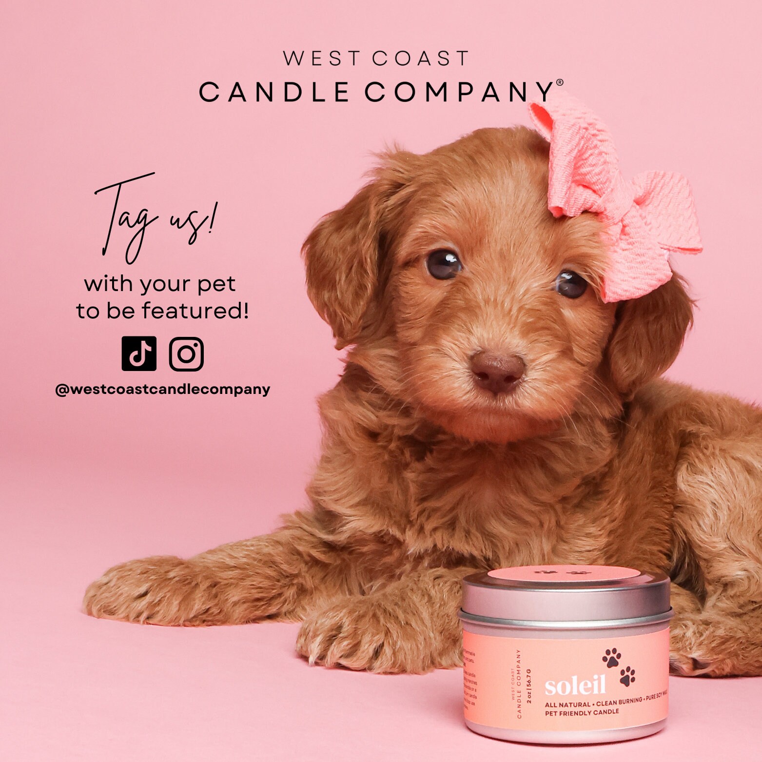 Alpine Ridge Pet Friendly Candle Pet Safe Candle Clean Burning Candle