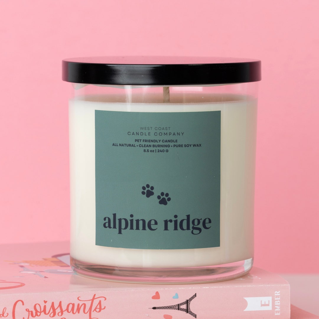 Pet Friendly Candle Pet Safe Candle Clean Burning Candle Etsy