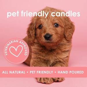 May include: A golden-brown puppy with a pink background. The text "pet friendly candles" is at the top. A pink circle with a white heart and the words "veterinarian approved" is on the left. The text "all natural &bull; pet friendly &bull; hand poured" is at the bottom.