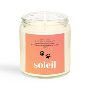 Soleil | Pet Safe Candle | Coconut Apricot Wax | Soy Free | Non-Toxic Candle | Pet Odor Eliminator | Veterinarian Approved | 9 oz