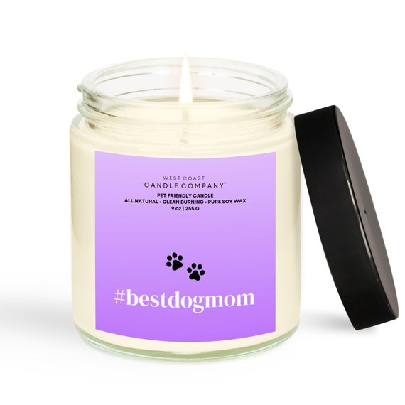 Best pet odor eliminator candle online