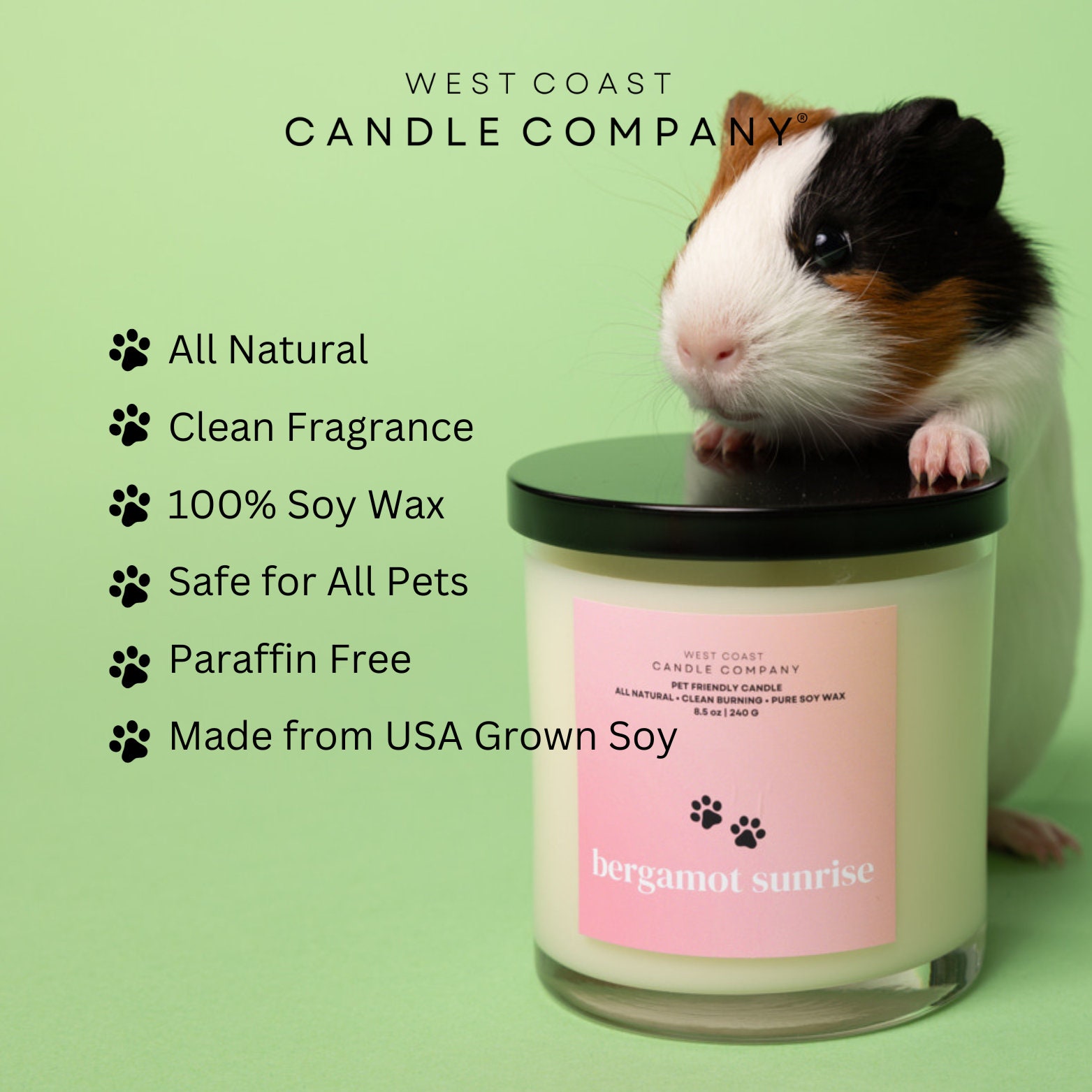 Pupcake Dreams Wax Melts – West Coast Candle Company
