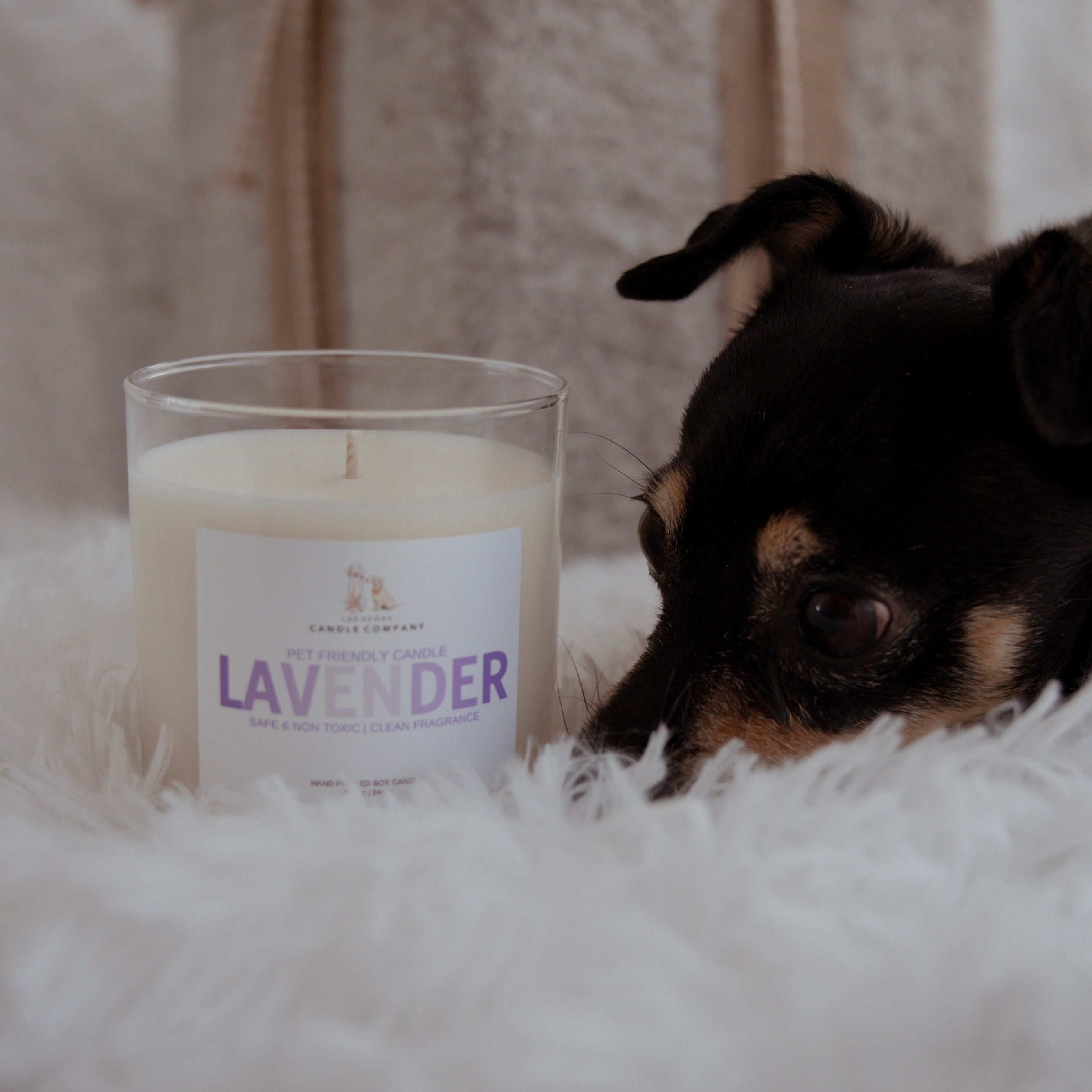 Are Soy Candles Safe For Dogs