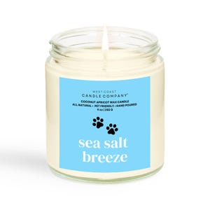 Sea Salt Breeze | Pet Safe Candle | Coconut Apricot Wax | Soy Free | Non-Toxic Candle | Pet Odor Eliminator | Veterinarian Approved | 9 oz