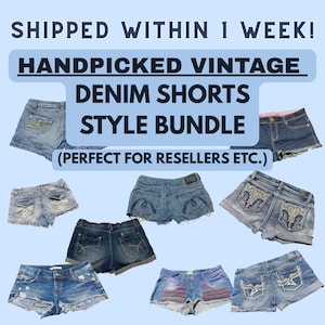 Y2K Vintage Denim Shorts Style Bundle: Mystery Reseller Box
