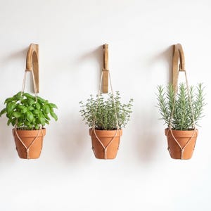 Three hanging terracotta pots with different types of potted plants, including basil, thyme, and rosemary, suspended from wooden hooks on a white wall.