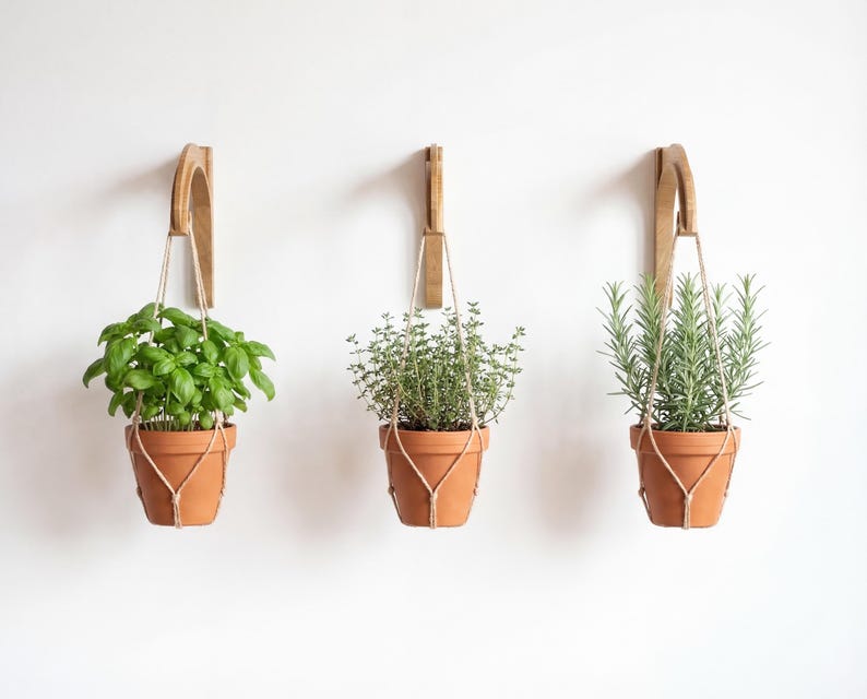 Three hanging terracotta pots with different types of potted plants, including basil, thyme, and rosemary, suspended from wooden hooks on a white wall.