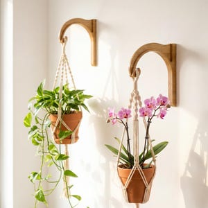 Macrame Plant Hanger Hook — Wooden Wall Bracket, Boho Decor, Housewarming Gift, Oak or Walnut solid wood