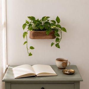 Floating Wooden Wall Planter, Boho Wall Pocket, Plant Shelf for Plants, Display Rack for Plants