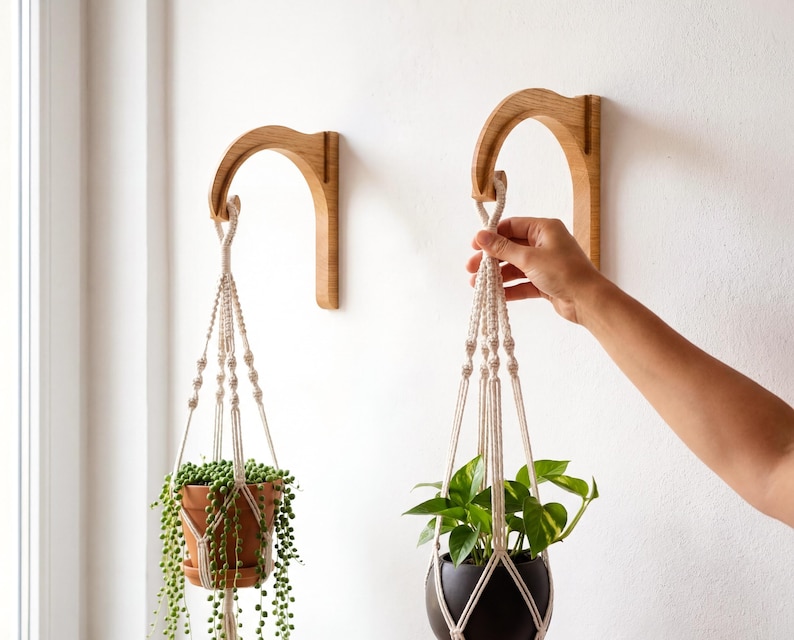 A person's hand is holding a plant from a hanging basket, which is placed on a white wall.