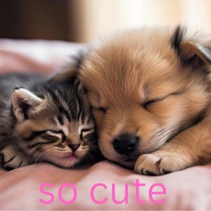 Cute Dog And Cat Digital Poster, Cat and Dog Poster, Cat and Dog Digital Print of Cat And Dog 8x10 png