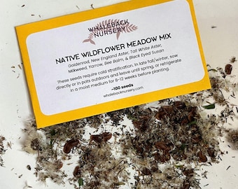 May include: A yellow seed packet from Whaleback Nursery, labeled "Native Wildflower Meadow Mix." The packet lists various wildflower seeds and instructions for planting. Seeds are scattered around the packet on a white surface.