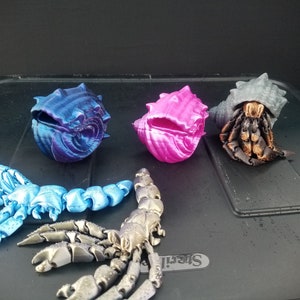 Articulated Hermit Crabs