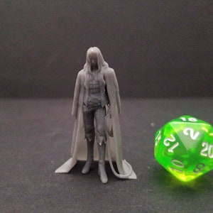 Peut inclure: Une figurine miniature en plastique gris imprimée en 3D représentant une personne portant une longue cape et tenant un fouet. La figurine est placée à côté d'un dé à 20 faces vert.