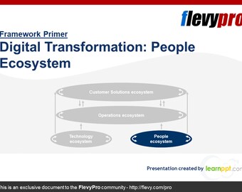 Business Framework: Digital Transformation People Ecosystem