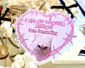 Demanding Cat Sticker: Funny Coquette Heart Sticker