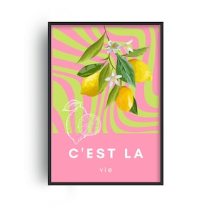 C&#39;est La Vie Poster, French Print, C&#39;est La Vie Print, C&#39;est La Vie Slogan, French Quote, Trendy Retro French Print, Vintage French Poster