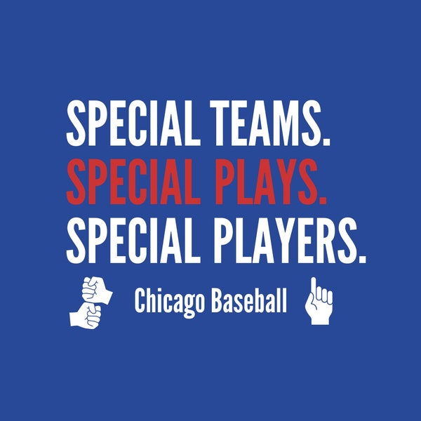 Chicago Baseball, Special Teams Special Plays Special Players Shirt, Streamer Shirt, Cubs Baseball, Gift for Cubs Fans,