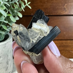 High-Grade Tourmaline on Quartz DT and Albite Raw Specimen 21g/1.53in